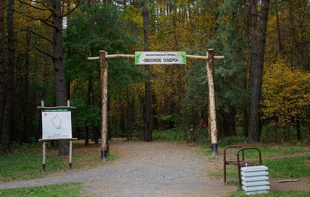 Лесное озеро