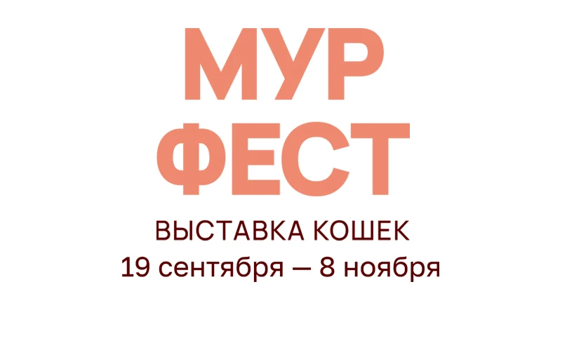 Выстава котак «МУРФЕСТ»